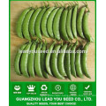 NPE03 Tiande high yield sugar pea seeds guangzhou